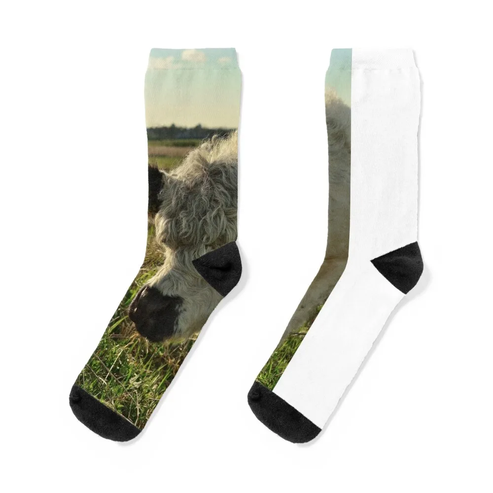 Beautiful Galloway cow Socks Wholesale hockey Soccer Woman Socks Men's