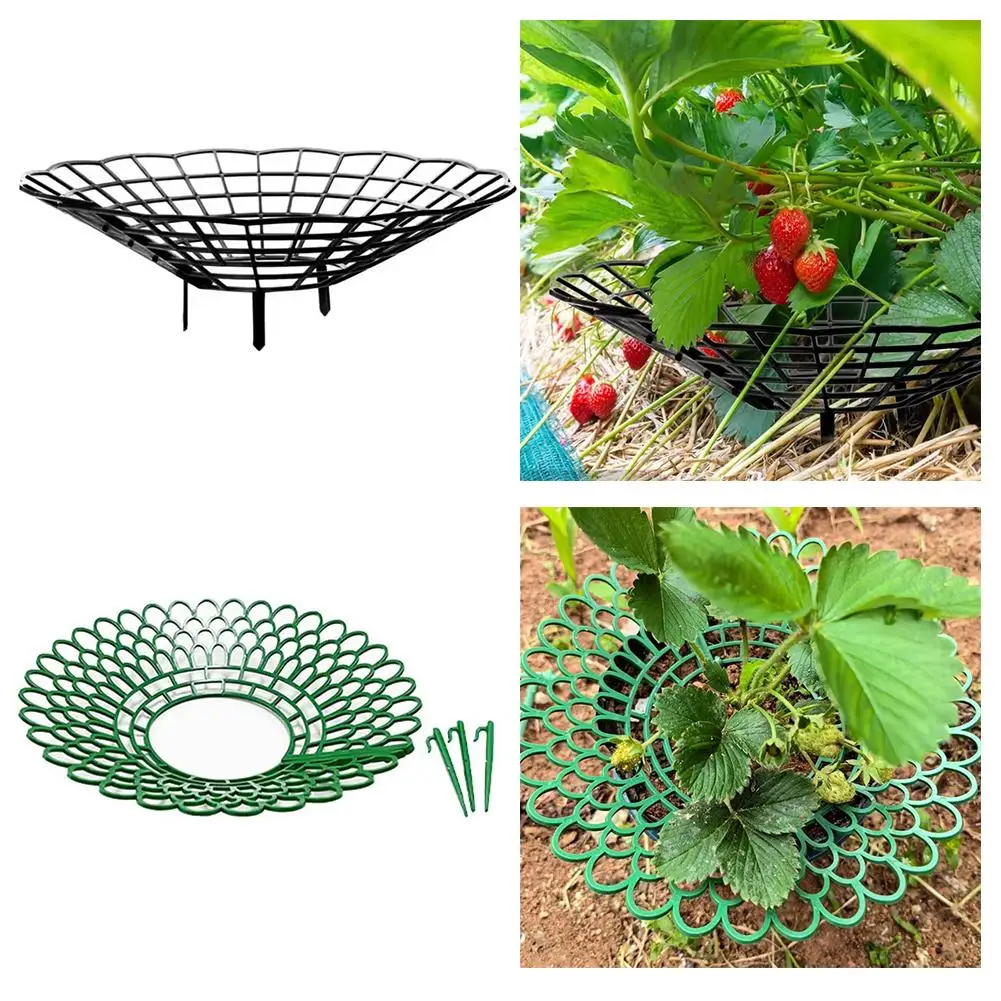 Strawberry Planting Racks, Watermelon Support Frames 3-Legged Plant Protector Easy Assembly plant accessories