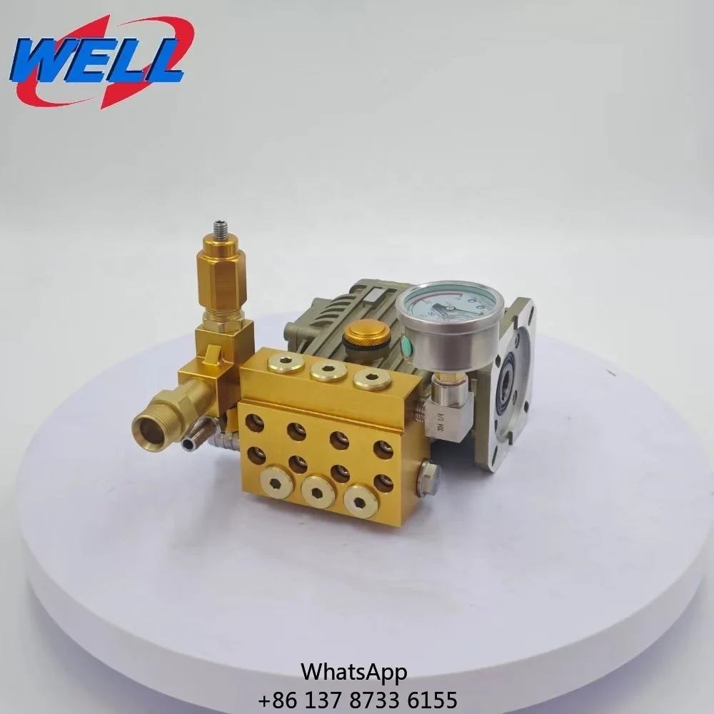 

WEITE 1210C New High Pressure Plunger Pump 90Bar 4.6L/Min Electric Heavy Duty For Car Wash Shop & Optics Cleaning