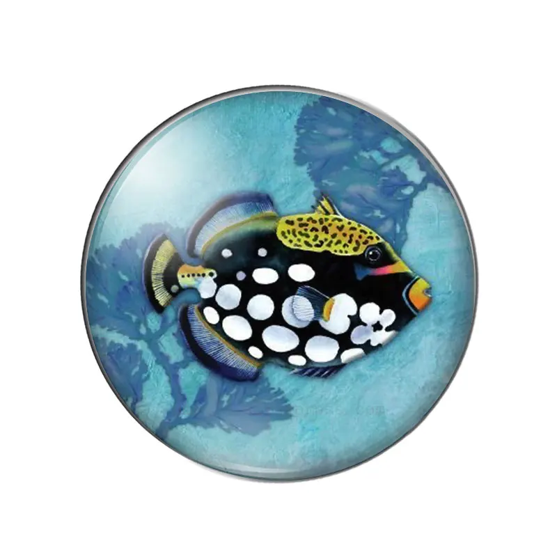 Watercolor Tropical Fish Art Paintings Sea Aniamls 12mm/18mm/20mm/25mm Round photo demo glass cabochon flat back Making findings