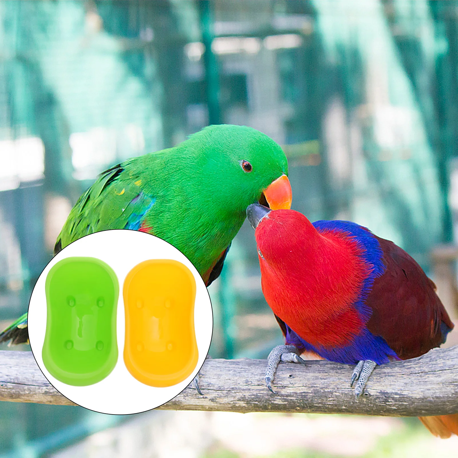 

Large Size Plastic Parrot Bathing Basin Eco Friendly Cage Accessory Birds Cleaning Tub Shower Bat Food Feeder for Small