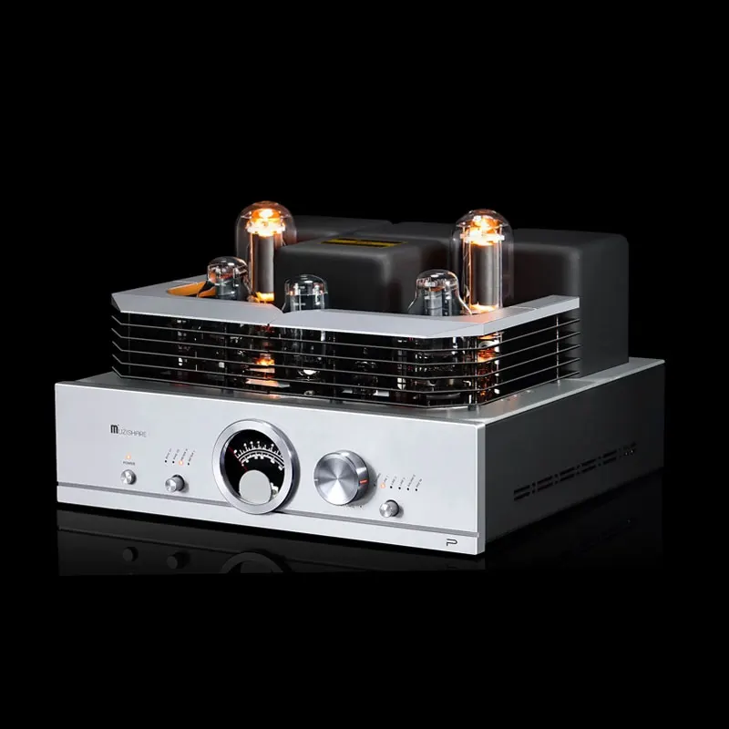 MUZISHARE R100 300B Push 845 211 805 Single-Ended Class A HiFi-Röhrenverstärker Balance & Phono-Ausgang (DHL-KOSTENLOSER VERSAND)