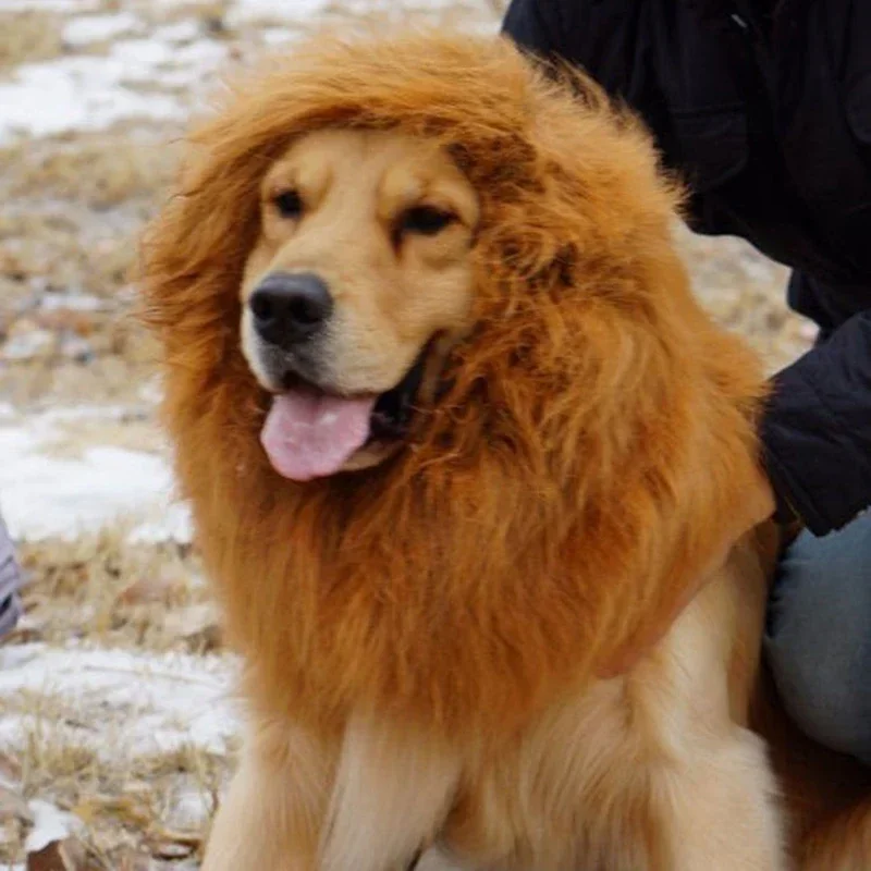 Dogs Emulation Lion Hair Mane with Tail for Medium To Large Sized Dogs Max 80cm Head Circumference Pet Cosplay Cap Scarf