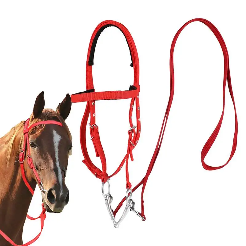 

Horse Bridle Adjustable Snaffle Noseband Nylon Equine Noseband Reins for Women Men Soft Lined Trail Riding Equestrian Supplies