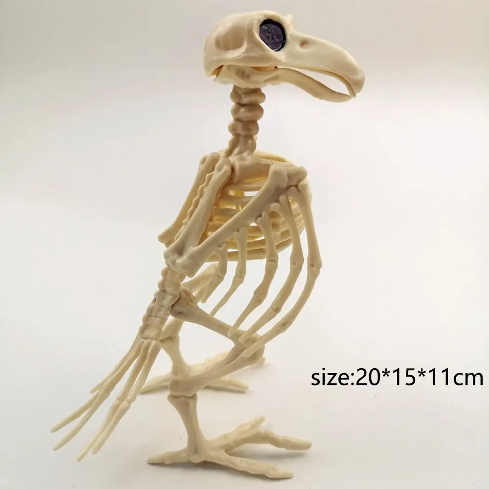 Crazy Bone Skeleton Raven Plastic Animal Skeleton Bones Horror Halloween Decoration Halloween Prop Bird Crow Skeleton Decoration