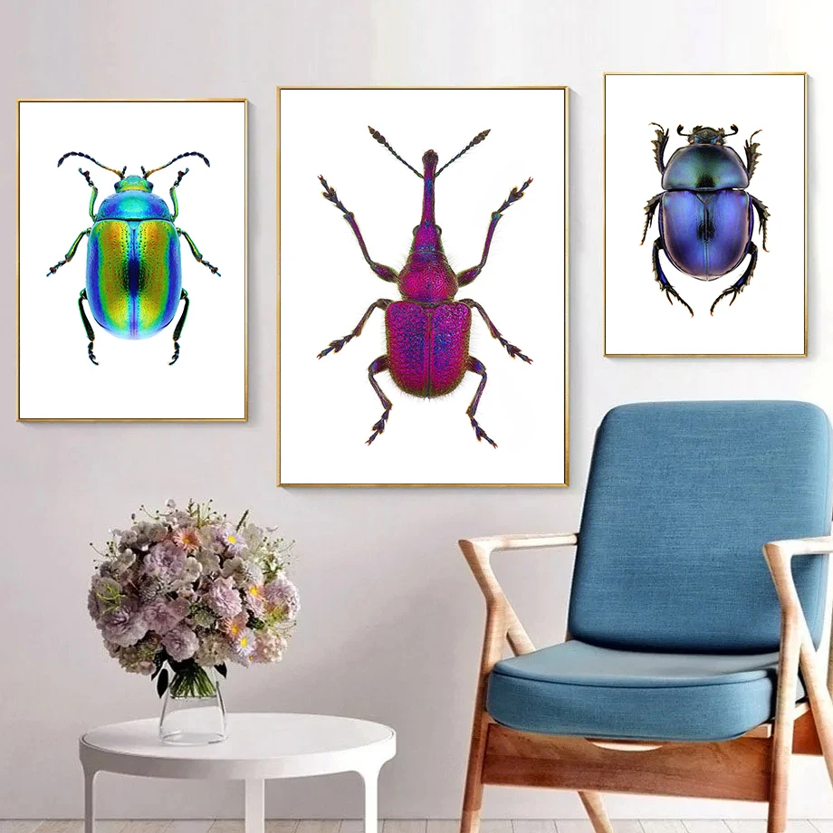 Classic Abstract Beetle Insect Specimen Insect Art Retro Posters Prints Canvas Painting Wall Art Picture Living Room Home Decor