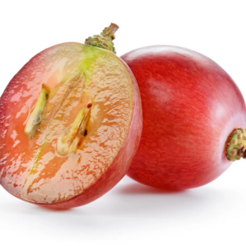 ل MJX 1/14 14301 14302 14303 14304 RC قطع غيار السيارات ترقية معدنية ممتص الصدمات الهيدروليكي #1