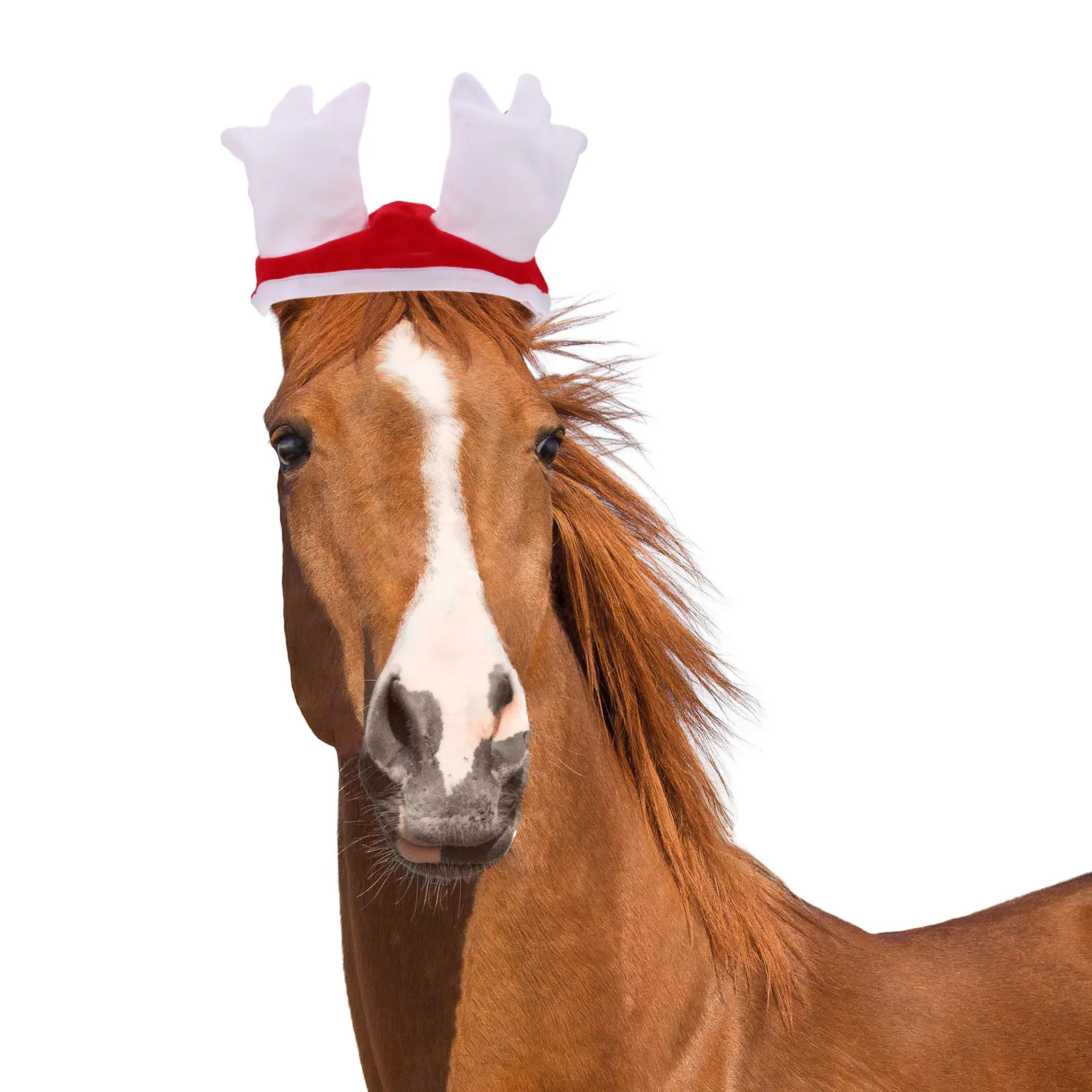 

1Set Horse Decoration Costume Set Christmas Santa Hat Leg Wraps Holiday Parade Party Supplies Horse Party Supplies