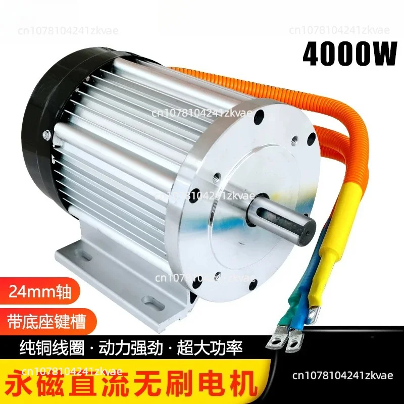 4000W DC Brushless Motor 60V High Power for Electric Tricycle Cleaning Machine Lift Equipment