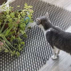 Balcony Cat-proof Net Gardening Mats Flowers Repellent Plastic Pet Cat-proof Stinging Mats To Repel Animals Prevent Cat Invasion