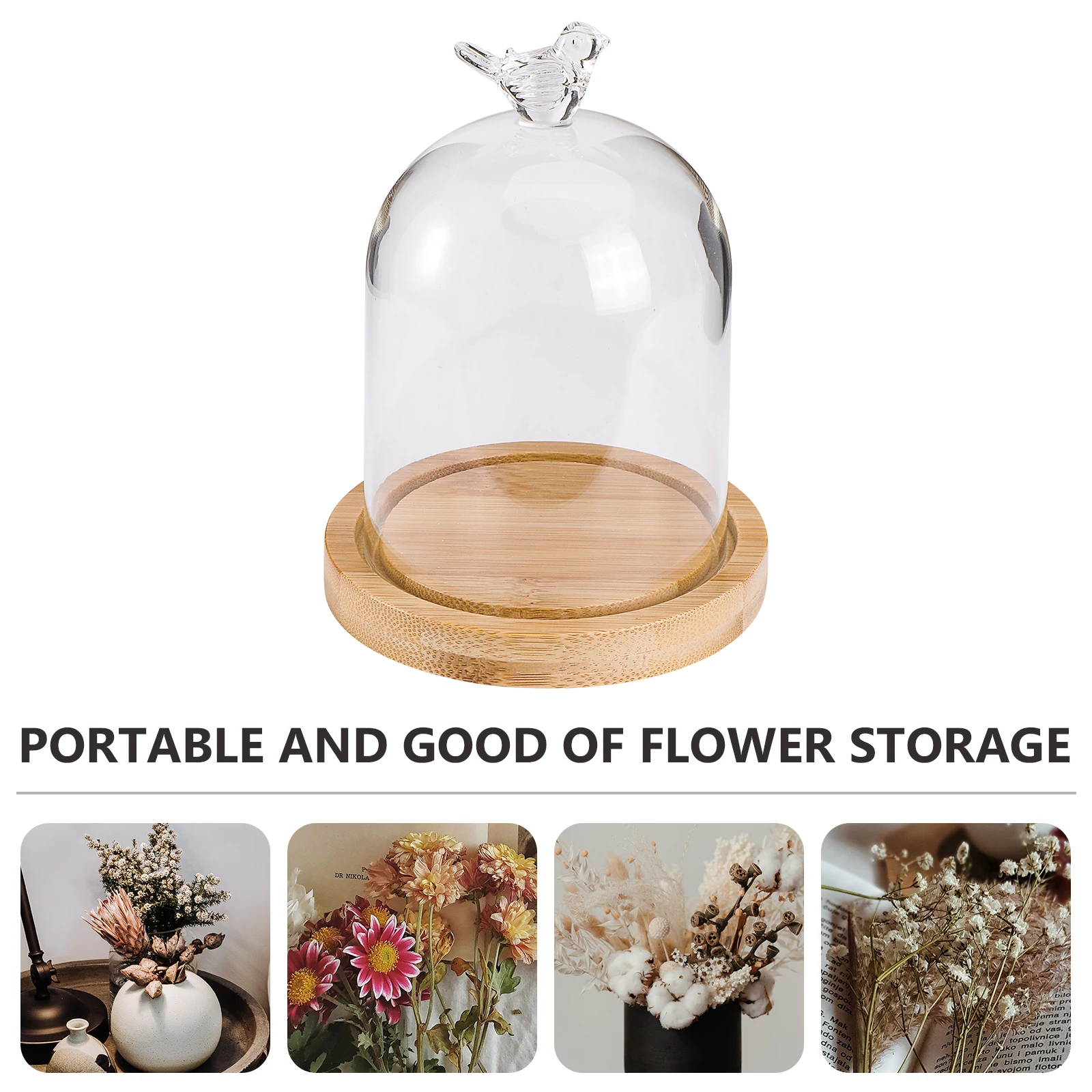 

Transparent Glass Dome for Flower Storage Display Wood Base Craft Glass Dome Decor Bird Model Accessories