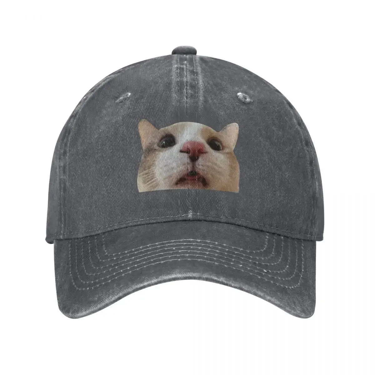 Zooted Panko 1 Gorra de béisbol para excursión a la playa, sombrero de protección solar de anime para mujeres y hombres