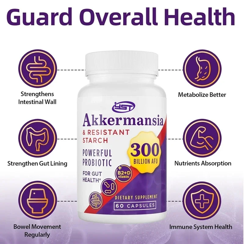 300 billion AFU Akkermansia Muciniphola, suitable for GLP-1, digestion,immune health,and enhancing intestinal digestion function