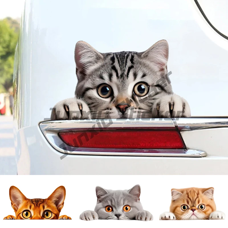 

Peeking Cat Pet Sticker Car Bumper Window Stickers Waterproof Decoration for Car Fashion Decals Vinyl Material Creative
