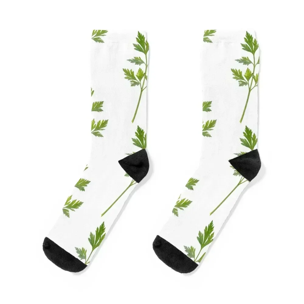 Backlit parsley Socks fashionable Toe sports Stockings men cotton high quality Woman Socks Men's
