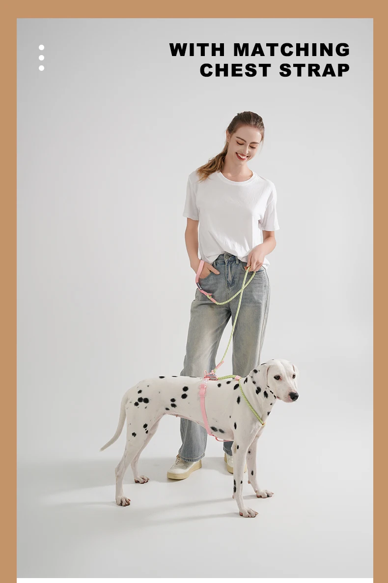 Pet Supplies Dog Collar For Small and Medium Dog Walking Sugar Color Series Cute Style PVC Webbing Collar Leashes Set New Arriva