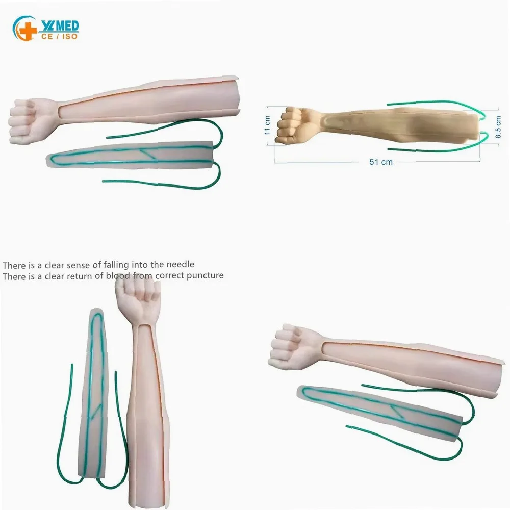 Nursing school training arm models, medical models for intramuscular injection, blood collection, infusion