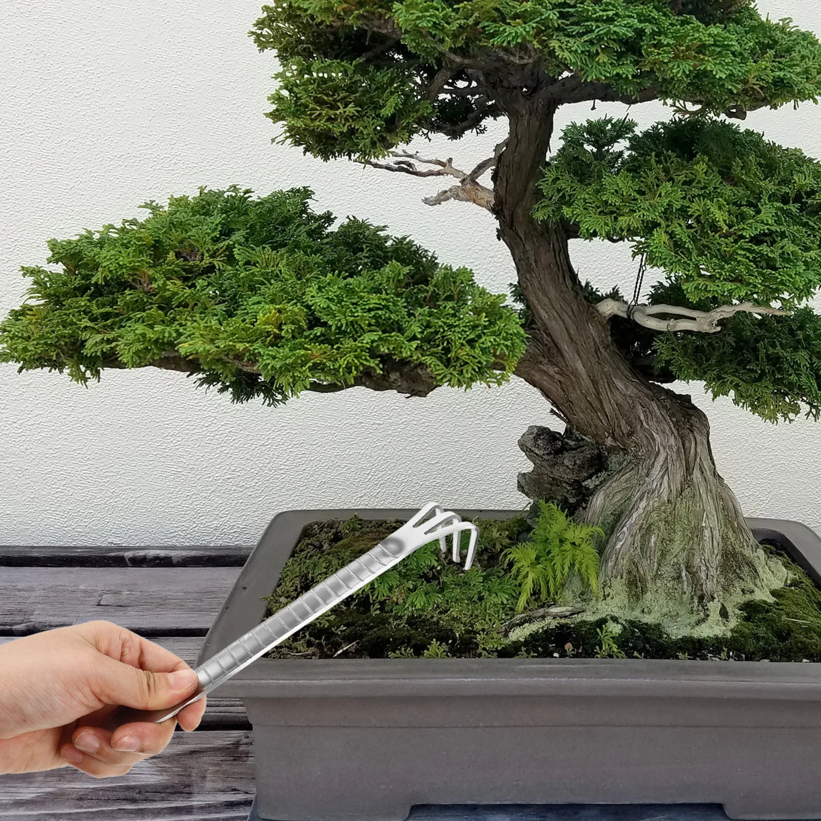 

Heavy-Duty Bonsai Gardening Rake Lightweight Compact Hand Rake Efficient Soil Loosening Soil Tool