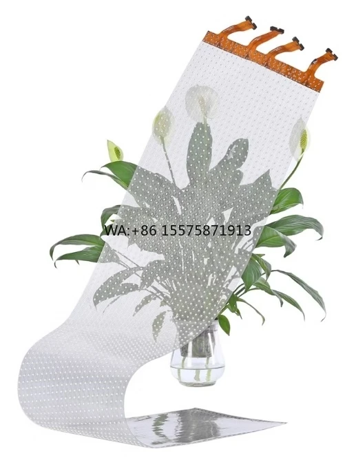 

Customizable P10 Led Display Flexible Screen HD Transparent Self Adhesive Film Video Wall Screen Indoor Outdoor Full Color