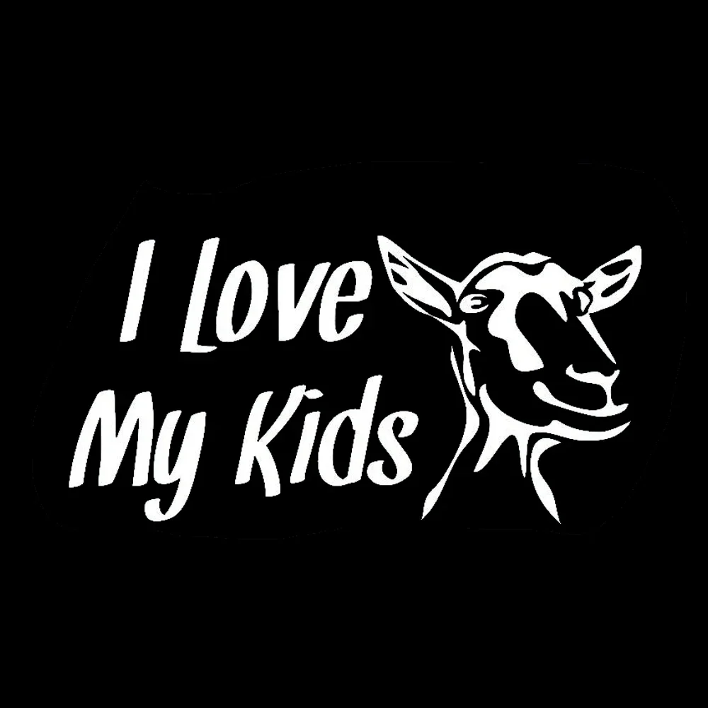 Jptz Many Sizes15Cm…