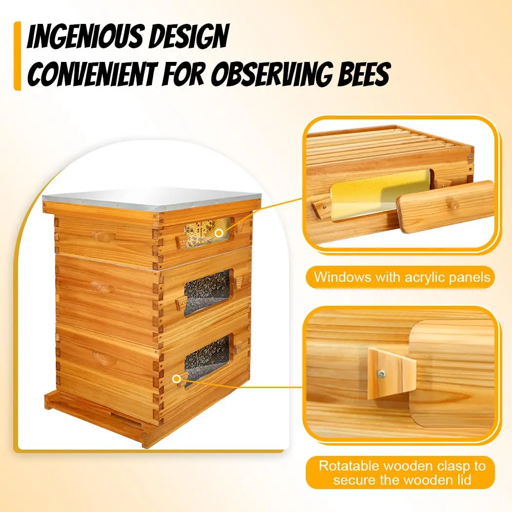 Bee Hive with Windows, 10 Frame Langstroth Complete Beehive Starter Kit Dipped in Beeswax with Beehive Frames and Waxed Foundati