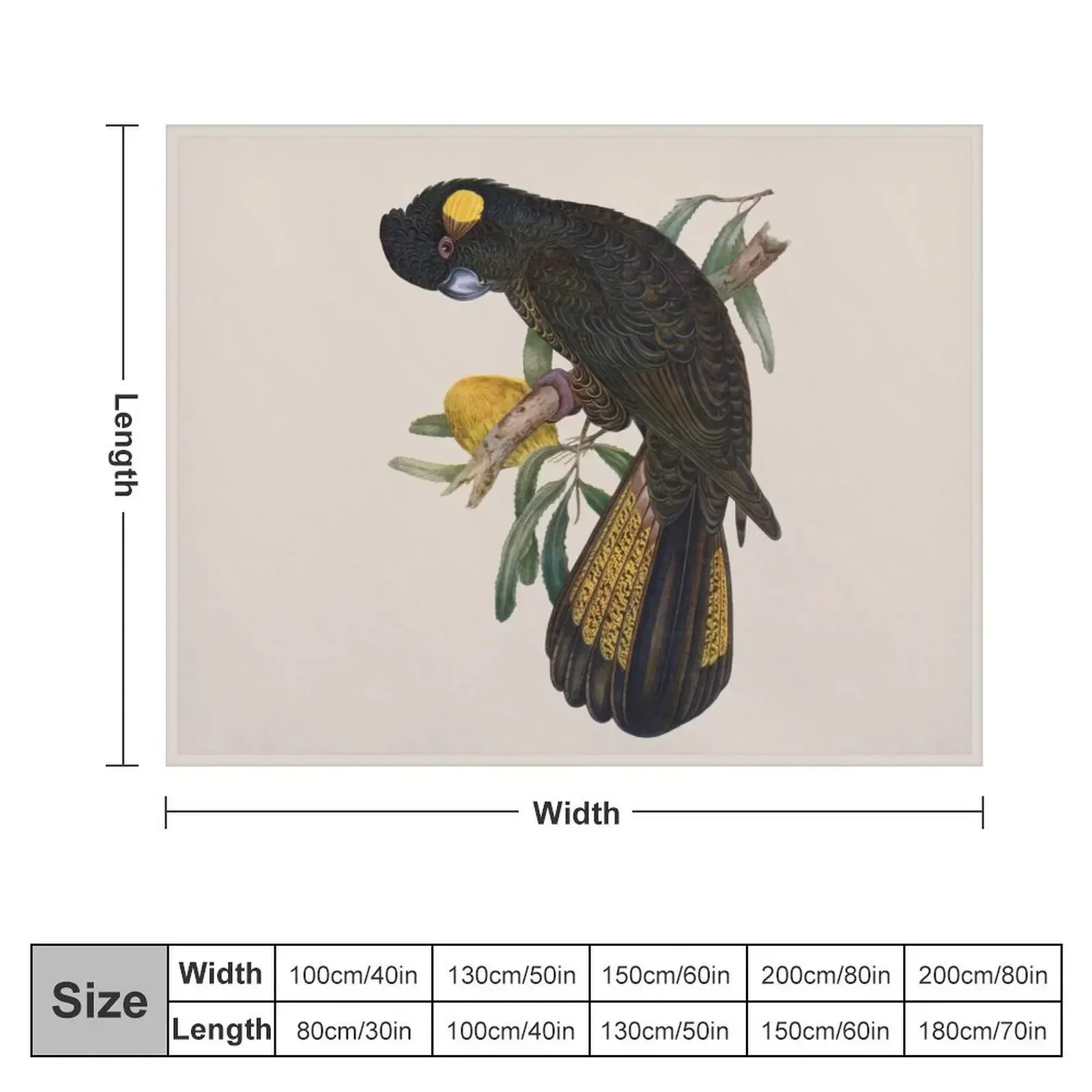 Yellow Tailed Black Cockatoo (Zanda funerea) Throw Blanket for babies Polar Blankets