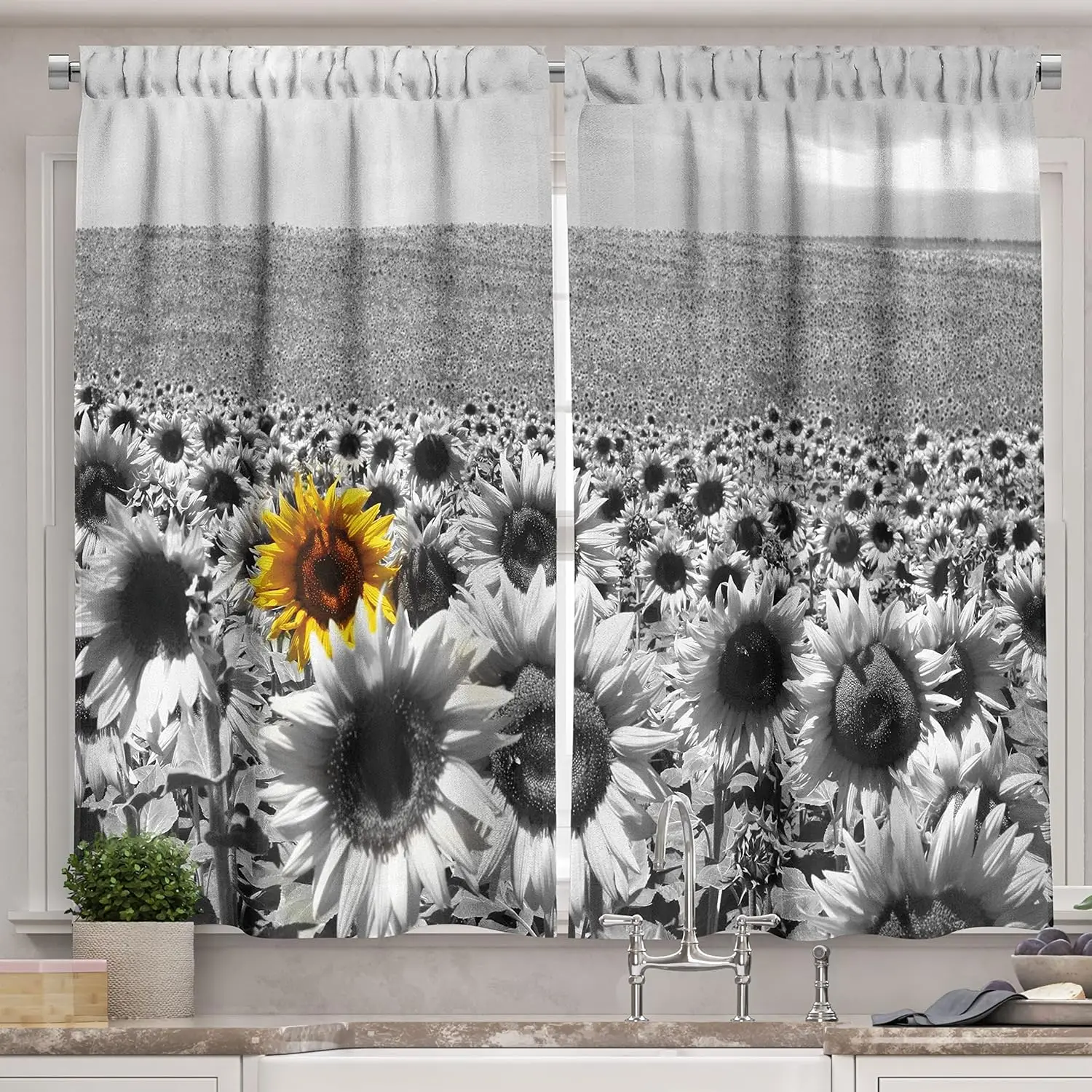 Modern Kitchen Curtains,Sunflower Field Black and White with a Single Yellow Flower Spring Landscape Individuality,Window Drapes