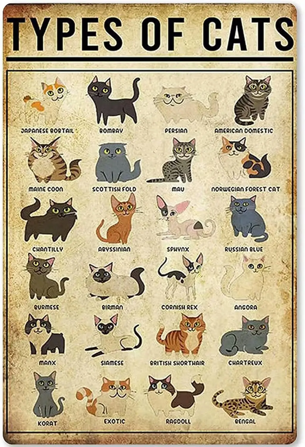 Affiche métallique « Connaissances sur les chats » – Types de chats – Plaque en métal pour école, jardin, ferme, café, chambre, salle de bain, cuisine, maison – Décoration murale artistique
