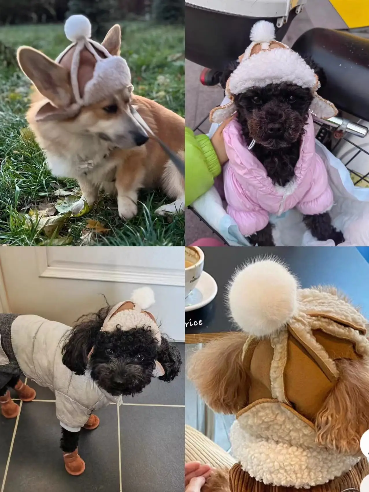 NONOR Pet Warm Hat Ear-popping Funny thickened adjustable Dog hat for Corgi Tedi French Bulldog Accessory Cat And Dog Headdress