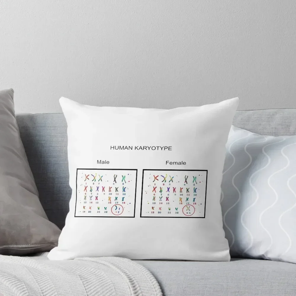 Human karyotype, Male and Female chromosome Throw Pillow Decorative Sofa Cushions Sofa Cushions Cover pillow