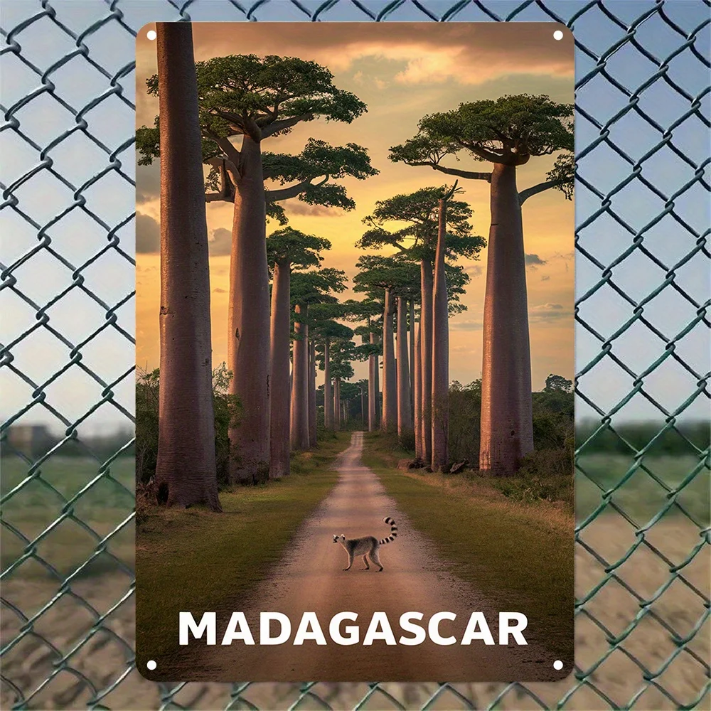 2D Flat, 1pc Madagascar Baobab Trees & Avenue Wall Art - Vintage Metal Sign with Lemur Wildlife & Tsingy de Bemaraha National