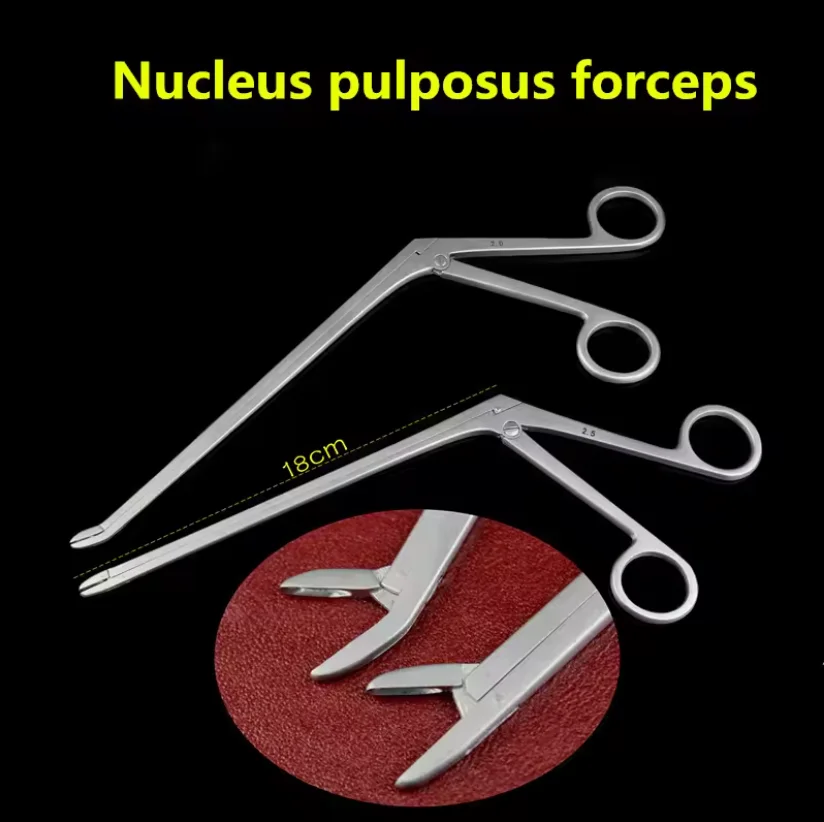 Bone scissors Veterinary vocal cord orthopedics Instrument Straight curved head Nucleus pulposus forceps Nucleus pulposus clamp