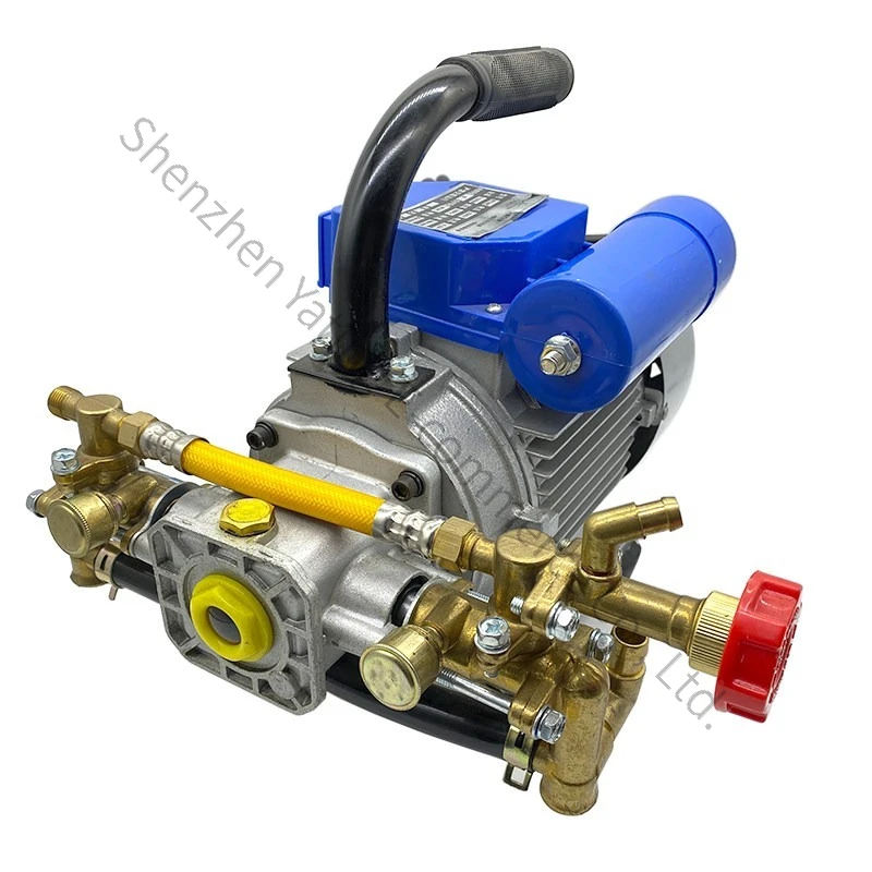 Pesticide Machine Household 220V Electric Agricultural Fruit Tree High Pressure Sprayer GardenMotor Double Cylinder Sprayer