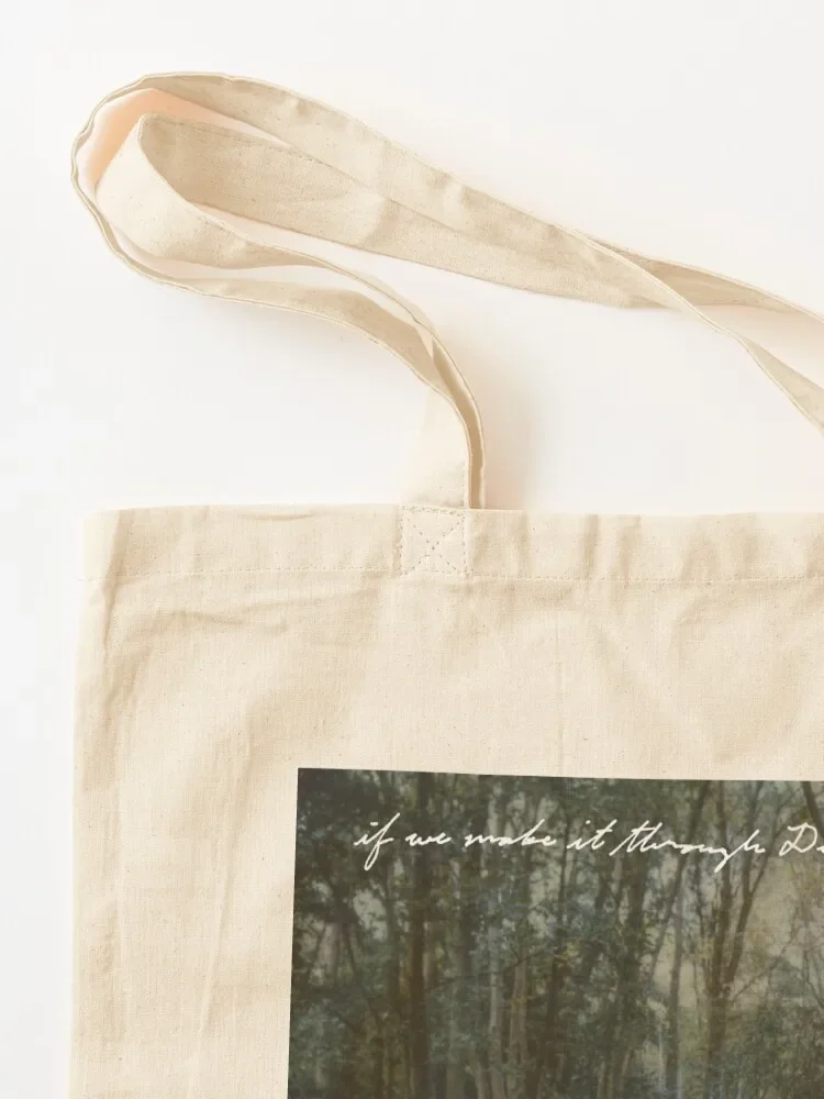 Phoebe Bridgers If We Make It Through December art Tote Bag Shopper shopper bags cute pouch bag