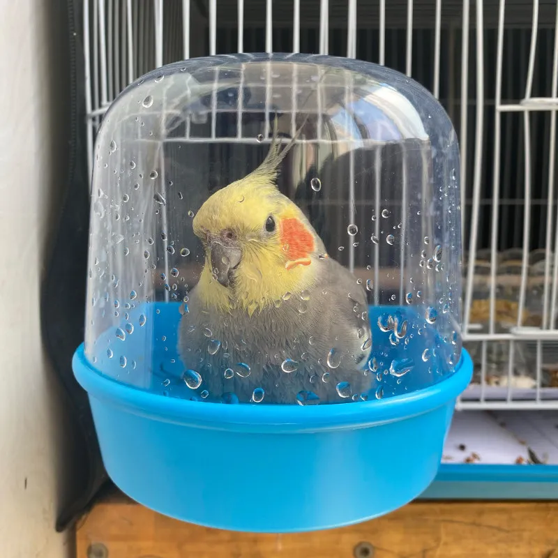 

Внешняя купалка для попугаев и волнистых попугайчиков - большая подвесная душевая кабина с игрушкой для чистки клетки