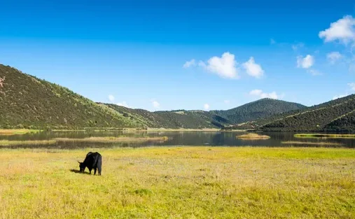 

HAKRC F4126 Flight Controller: F411+ICM42688, BLHeli_S 20A/35A ESC, 8-Layer PCB, OSD/Baro/Curr Sensor 2-6S for FPV Drone