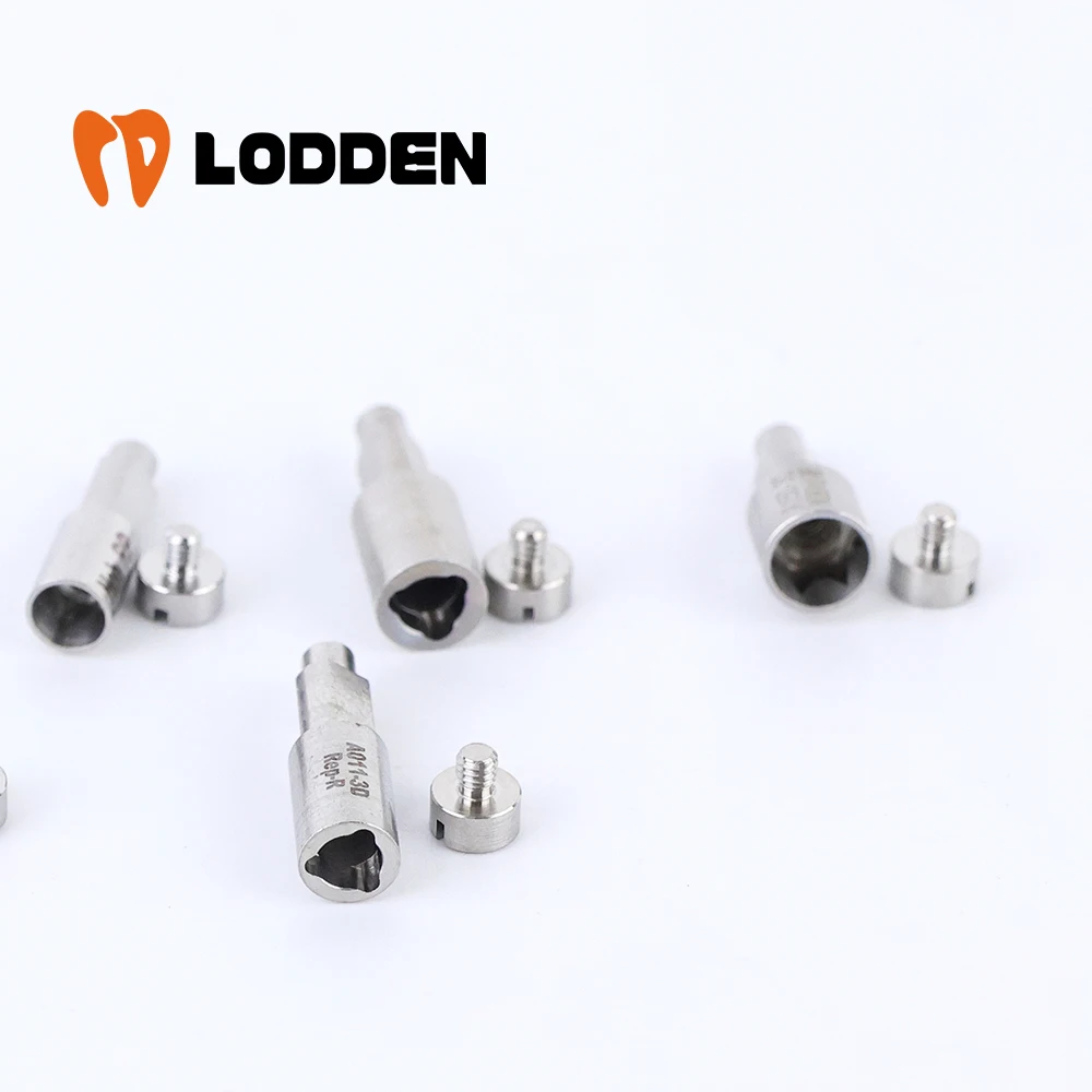 LODDEN 5pcs Dentis SQ Dental Implants Premilled Abutment/Scan Body/3D Analog/Analog CAD CAM Hex odontologia Titanium Blank view 3