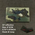 CP-13-6.5