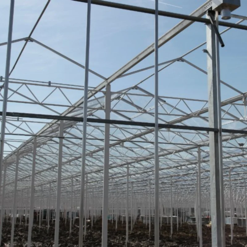 

Customized greenhouseMorden Venlo Green House with Hydroponics Growing System and Seedbed for Farm Tempered Glass Greenhouse Sup