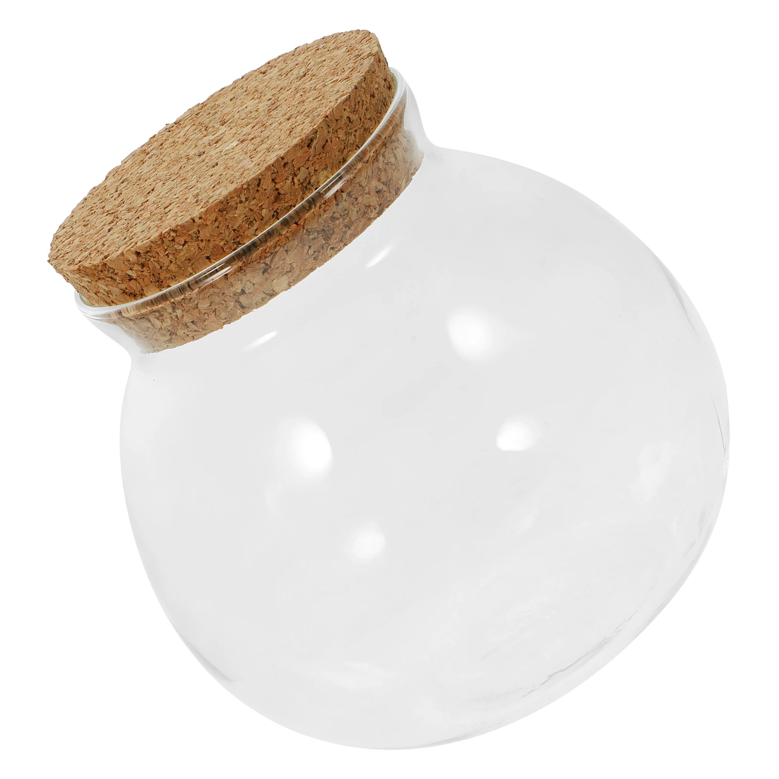 

Glass Terrarium Bottle Micro Landscape Ecological Planter Transparent Container For Plants Moss Decorative Bottle Lightweight