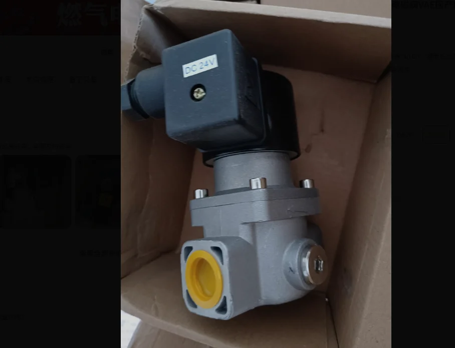 

Natural gas solenoid valve Domestic DN10 15 20 25
