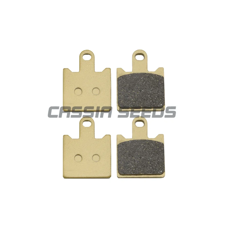 Motorcycle front and rear brake pads disc brake pads for Kawasaki ZX1400 ZZR1400 six-eyed fiend GTR1400