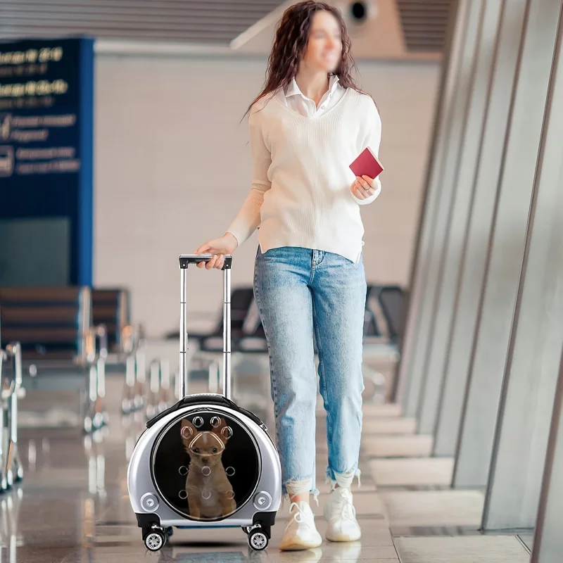 

1 деталь можно расширить на чемодан для домашних животных, портативный дорожный рюкзак с телескопической ручкой и собакой, пластиковый каркас, прозрачное пространство