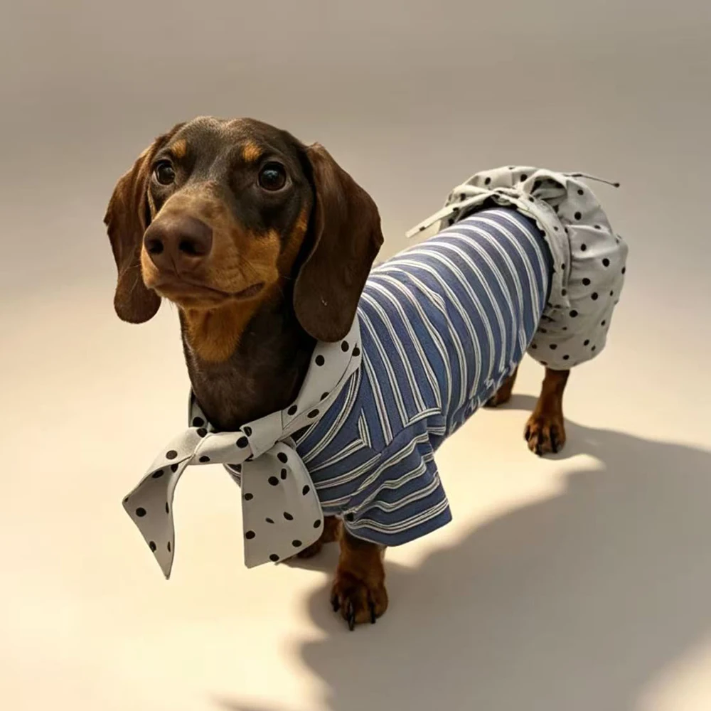 completo-alla-moda-in-due-pezzi-composto-da-una-felpa-in-cotone-a-righe-blu-e-pantaloni-grigi-a-pois-con-una-fascia-per-la-testa-ideale-per-cani-della-razza-dachshund