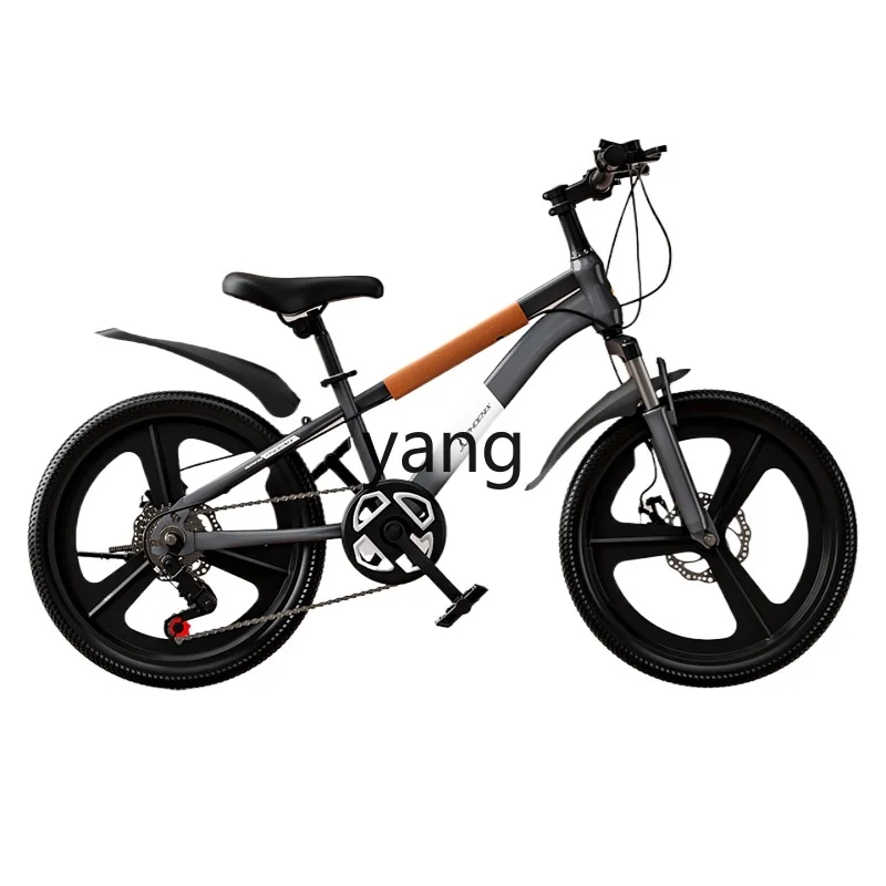 

CX Children's Bicycle 6-15 Years Old Boy Middle and Big Children Girl Mountain Disc Brake Variable Speed Bicycle