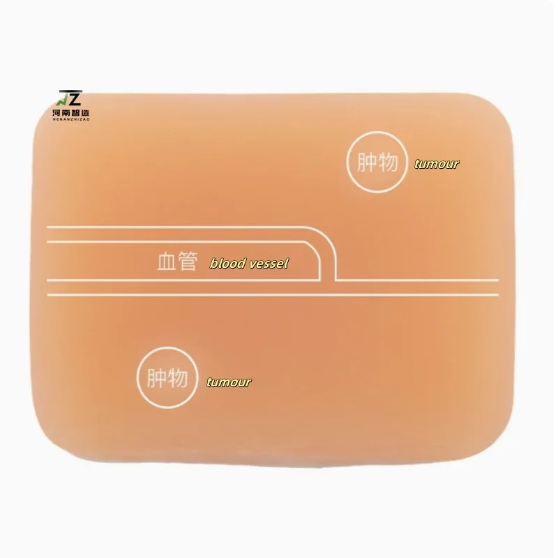 

Демонстрационная специальная портативная ультразвуковая направляющая модель ударной вставки сосудистых и комбинированной формы для тренировки живота