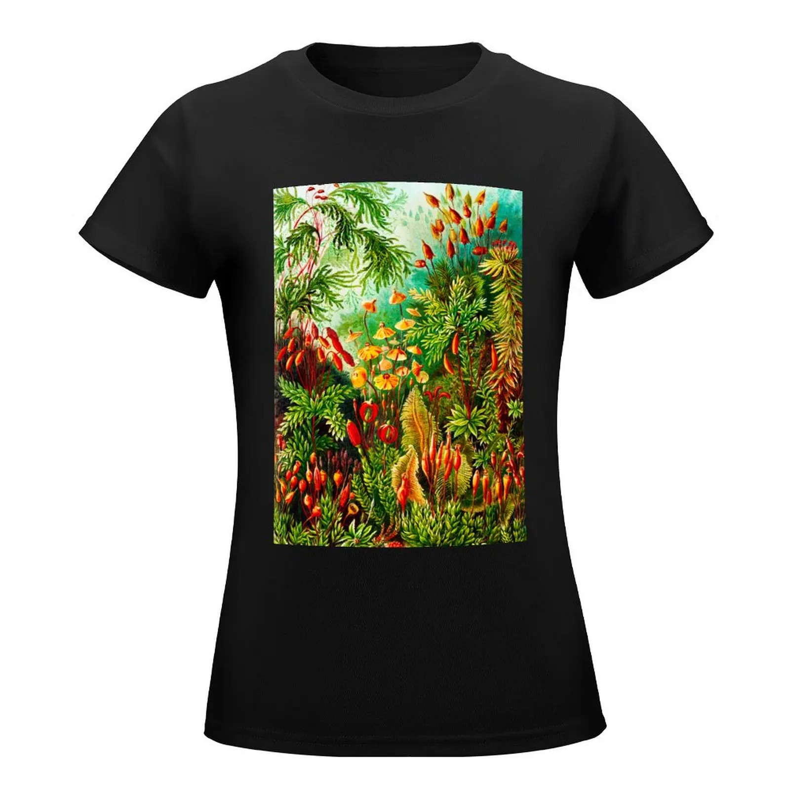 Muscinae–Laubmoose - mosses-Vintage Botanical by Ernst Haeckel T-Shirt Aesthetic clothing cute tops Women clothing