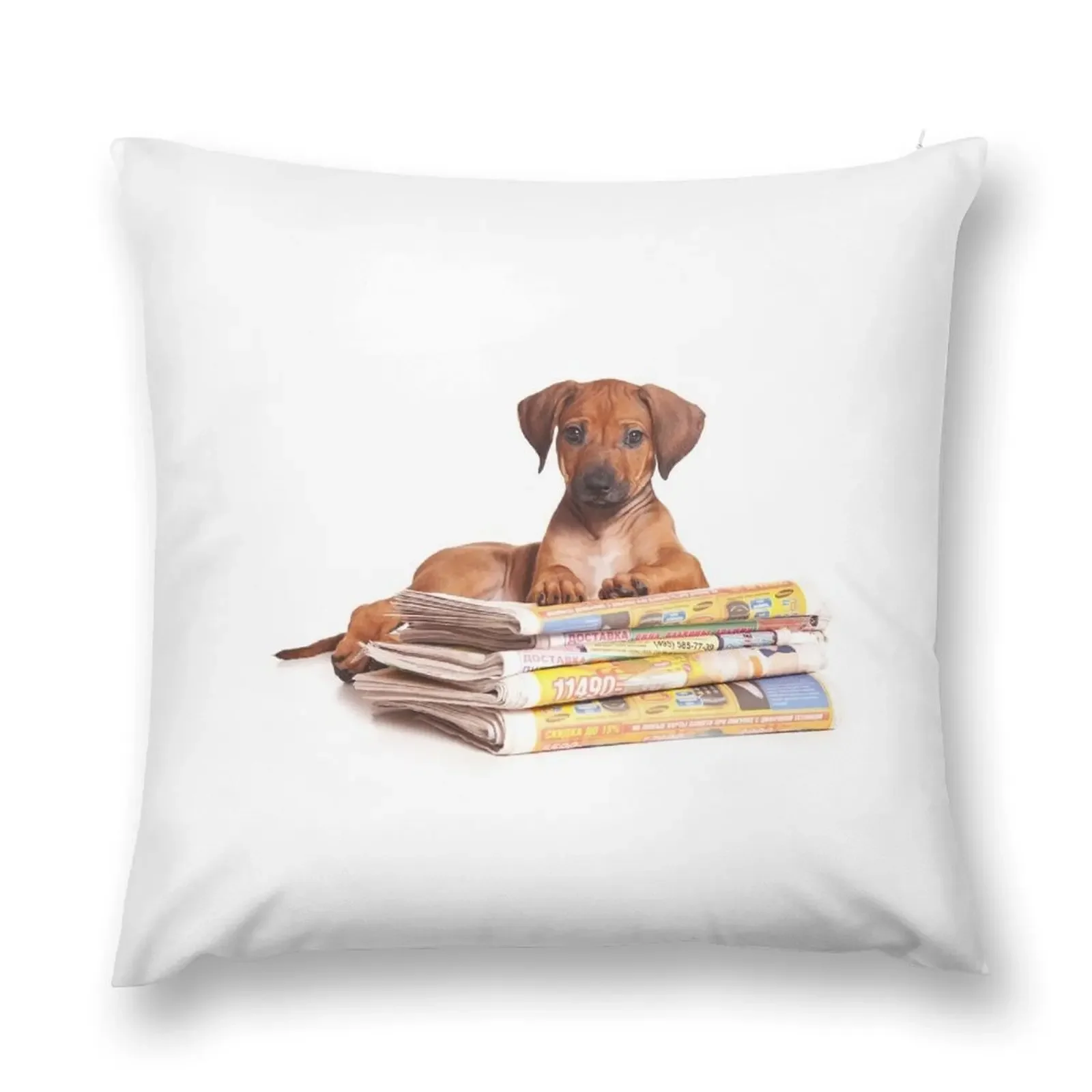 Funny red Ridgeback puppy Throw Pillow ornamental pillows Sofa Pillow Cover Sofa Cushions Covers pillow