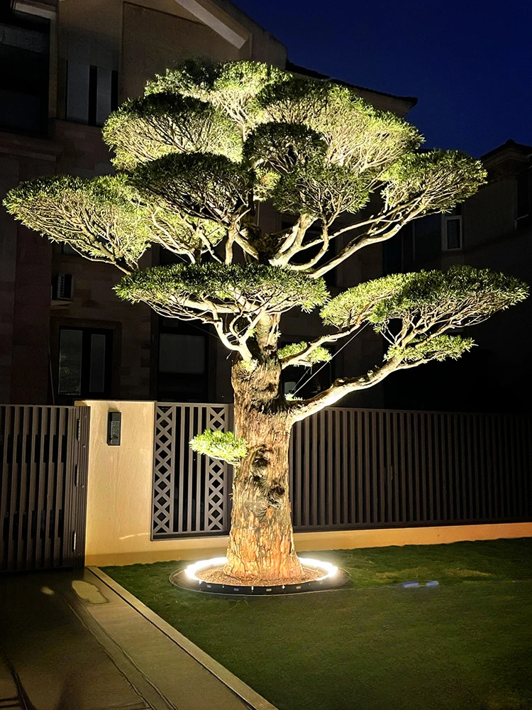 

Solar garden lights, tree hugging lights, tree shooting lights, landscape lighting.