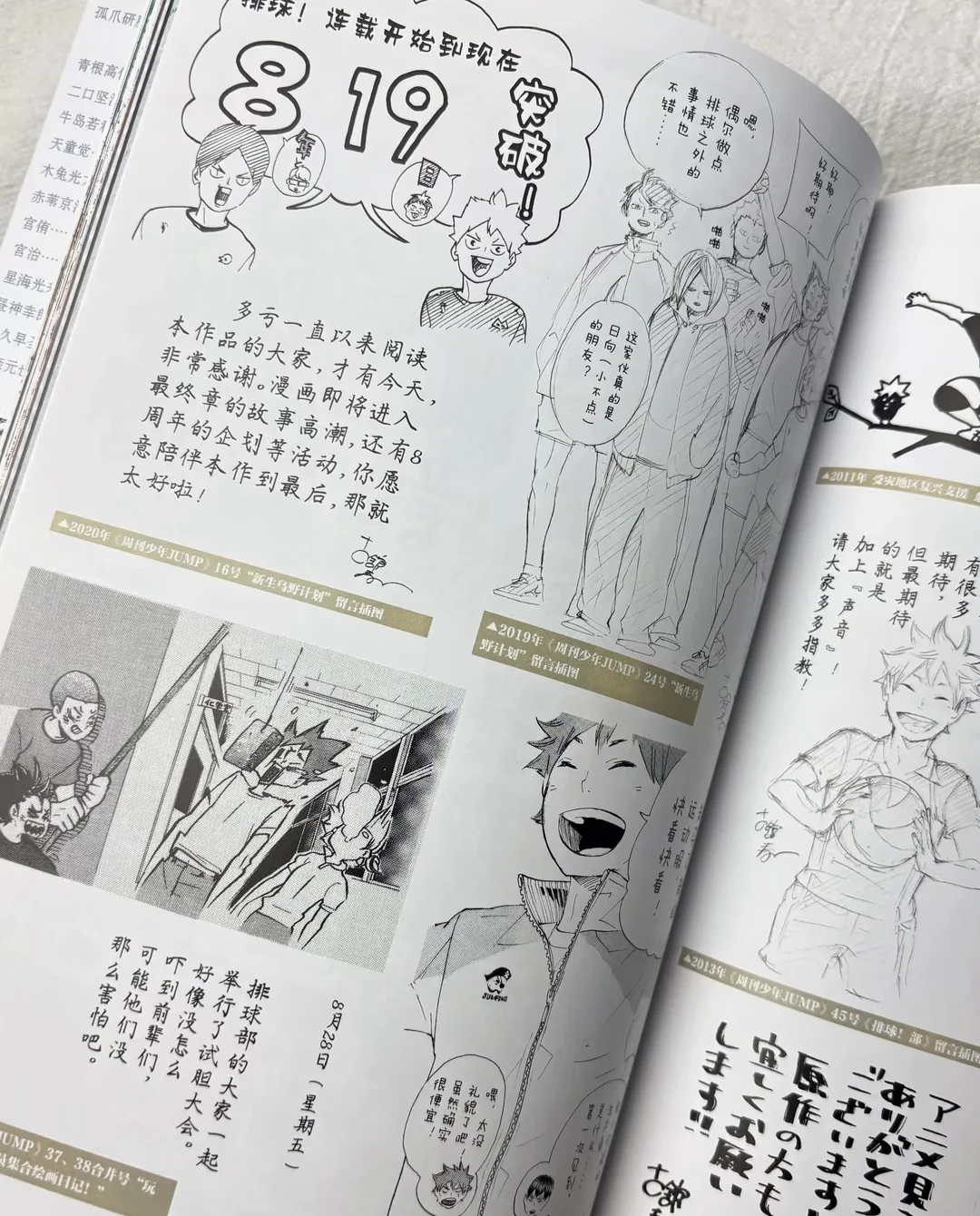 Haikyu!! 10th Chronicle Artbook, Chinese Simplified Version, Official Anime Illustration Collection Book Haikyu Fans Collectible